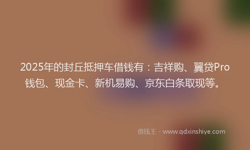 2025年的封丘抵押车借钱有：吉祥购、翼贷Pro钱包、现金卡、新机易购、京东白条取现等。