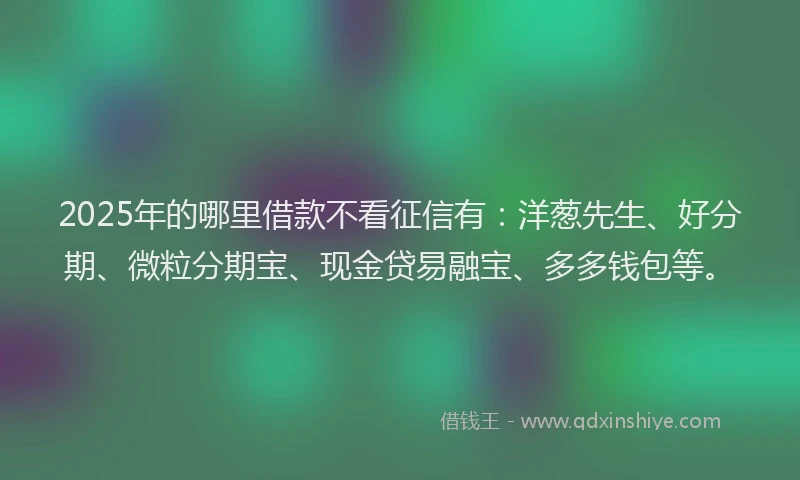 2025年的哪里借款不看征信有：洋葱先生、好分期、微粒分期宝、现金贷易融宝、多多钱包等。