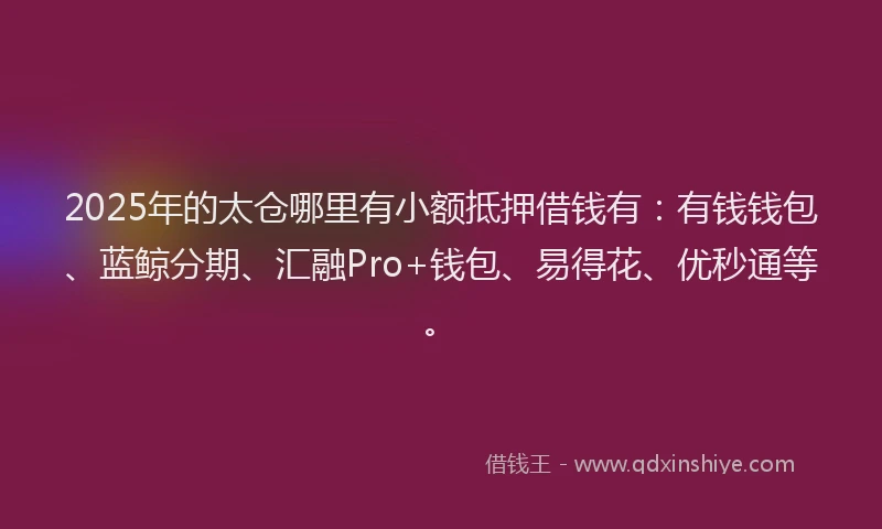 2025年的太仓哪里有小额抵押借钱有：有钱钱包、蓝鲸分期、汇融Pro+钱包、易得花、优秒通等。