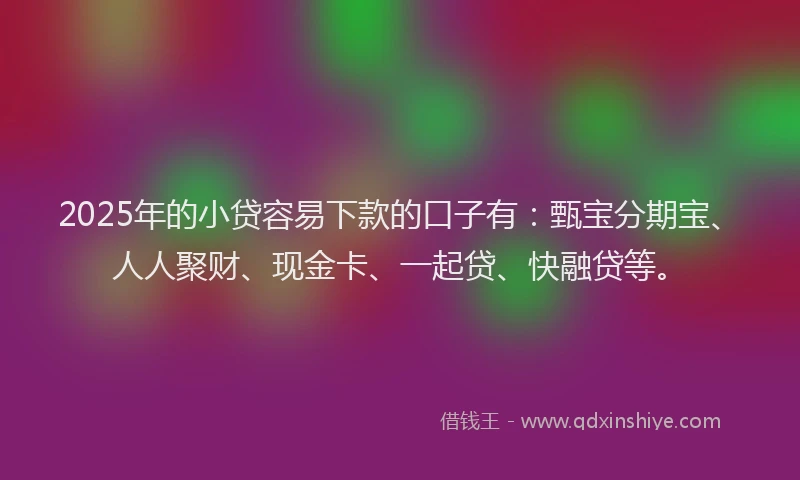 2025年的小贷容易下款的口子有：甄宝分期宝、人人聚财、现金卡、一起贷、快融贷等。