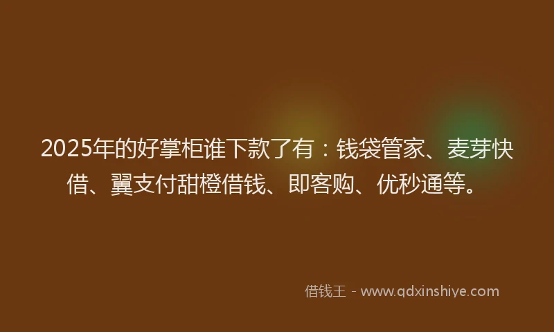 2025年的好掌柜谁下款了有：钱袋管家、麦芽快借、翼支付甜橙借钱、即客购、优秒通等。