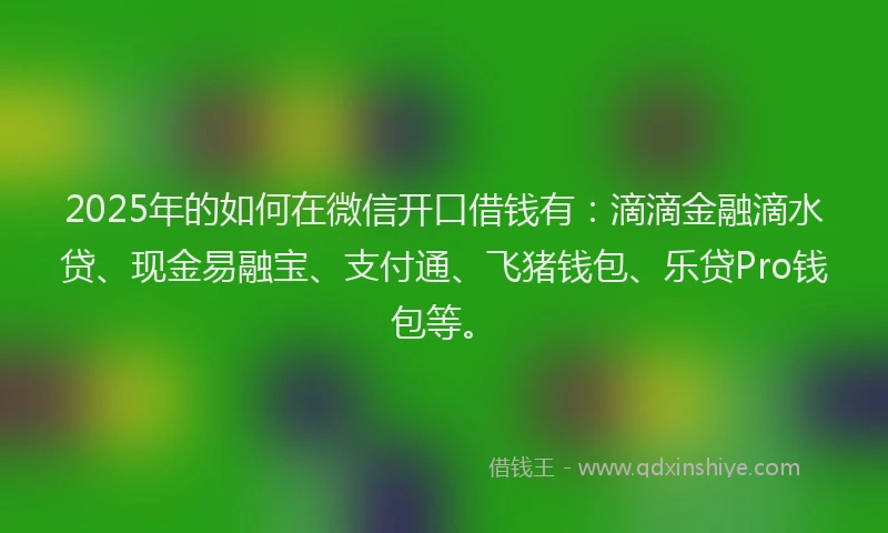 2025年的如何在微信开口借钱有：滴滴金融滴水贷、现金易融宝、支付通、飞猪钱包、乐贷Pro钱包等。