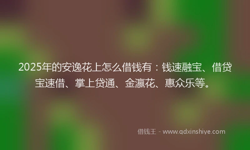2025年的安逸花上怎么借钱有：钱速融宝、借贷宝速借、掌上贷通、金瀛花、惠众乐等。