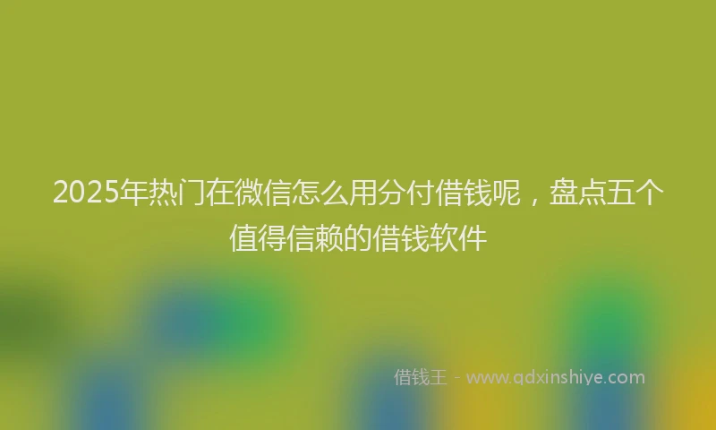 2025年热门在微信怎么用分付借钱呢，盘点五个值得信赖的借钱软件
