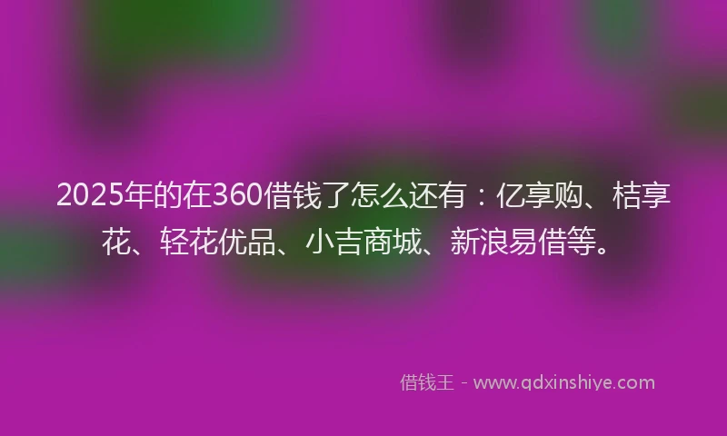 2025年的在360借钱了怎么还有：亿享购、桔享花、轻花优品、小吉商城、新浪易借等。