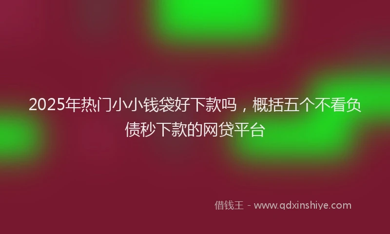 2025年热门小小钱袋好下款吗，概括五个不看负债秒下款的网贷平台