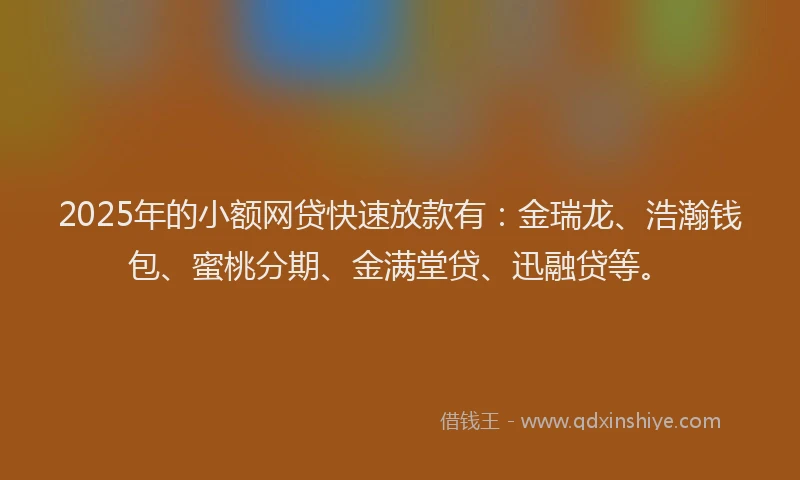 2025年的小额网贷快速放款有：金瑞龙、浩瀚钱包、蜜桃分期、金满堂贷、迅融贷等。