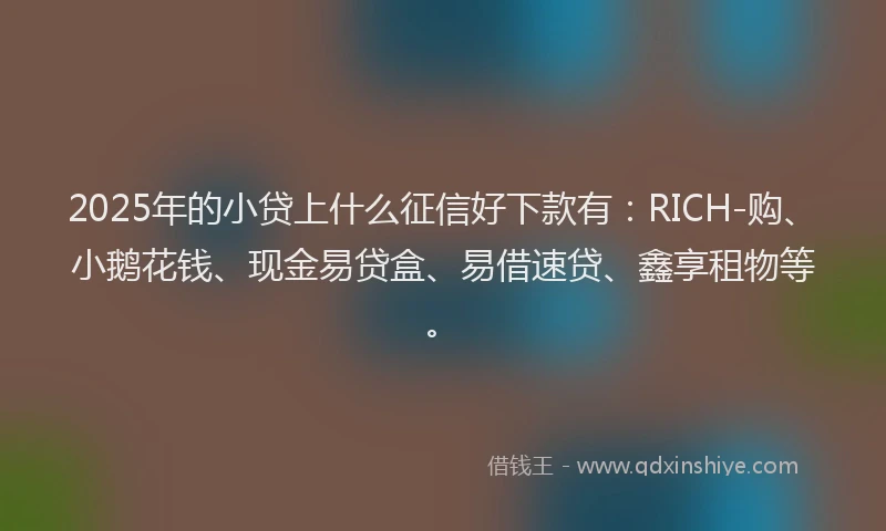 2025年的小贷上什么征信好下款有：RICH-购、小鹅花钱、现金易贷盒、易借速贷、鑫享租物等。