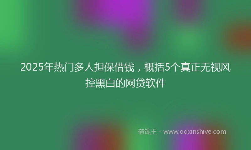 2025年热门多人担保借钱，概括5个真正无视风控黑白的网贷软件