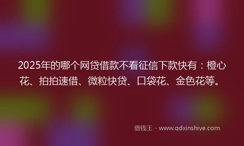 2025年的哪个网贷借款不看征信下款快有：橙心花、拍拍速借、微粒快贷、口袋花、金色花等。