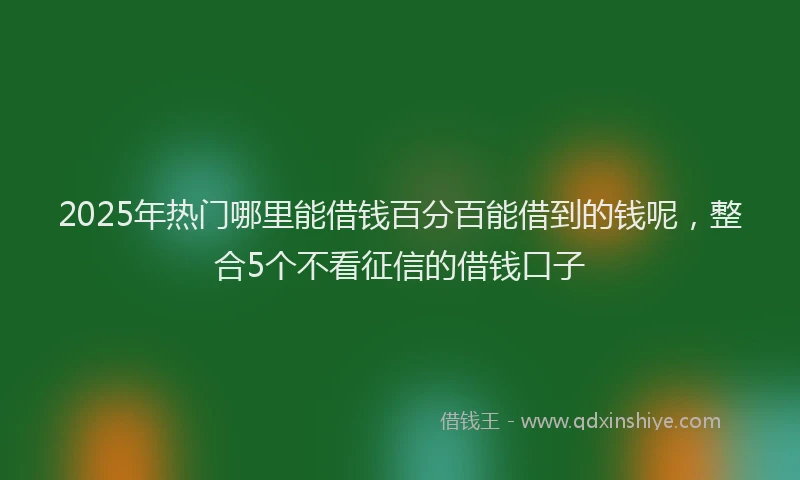 2025年热门哪里能借钱百分百能借到的钱呢，整合5个不看征信的借钱口子