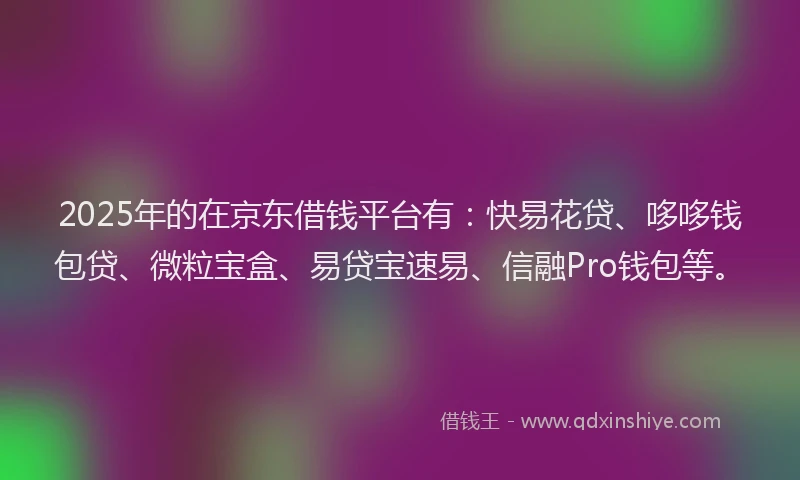 2025年的在京东借钱平台有：快易花贷、哆哆钱包贷、微粒宝盒、易贷宝速易、信融Pro钱包等。