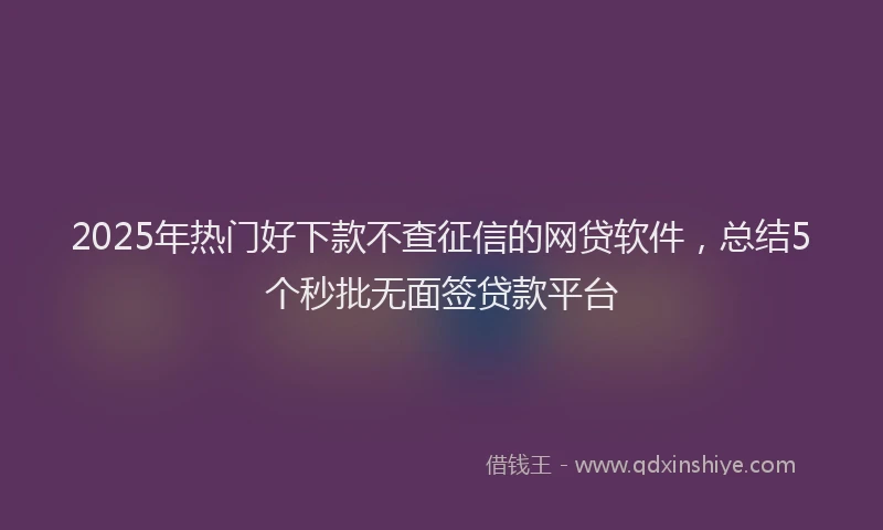 2025年热门好下款不查征信的网贷软件，总结5个秒批无面签贷款平台