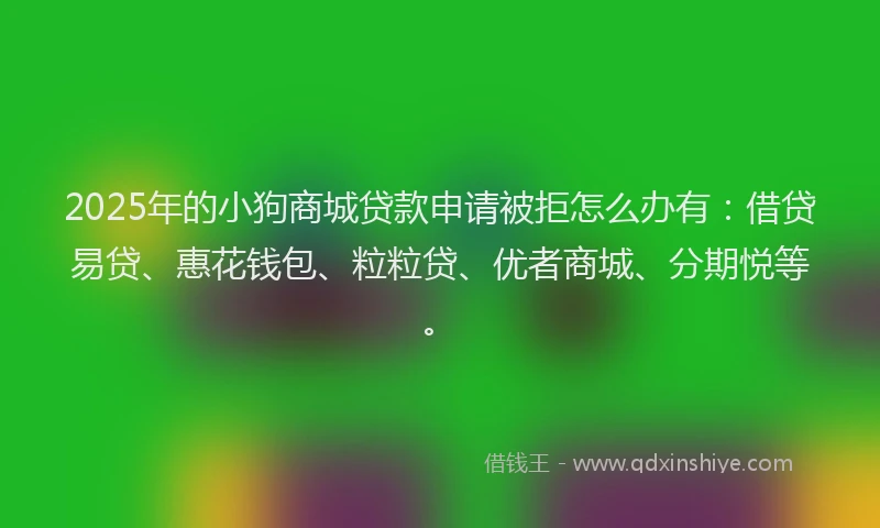 2025年的小狗商城贷款申请被拒怎么办有：借贷易贷、惠花钱包、粒粒贷、优者商城、分期悦等。