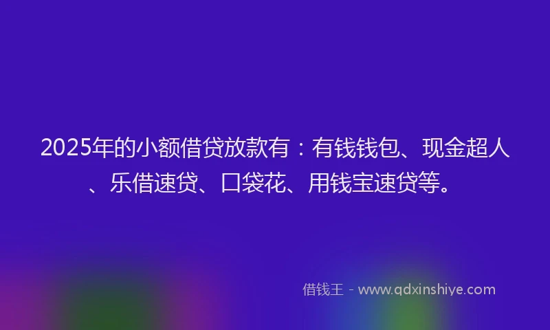 2025年的小额借贷放款有：有钱钱包、现金超人、乐借速贷、口袋花、用钱宝速贷等。