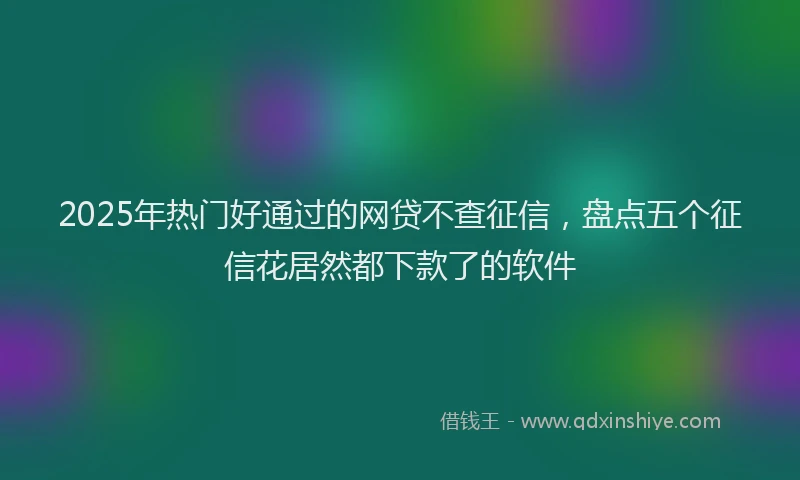 2025年热门好通过的网贷不查征信,盘点五个征信花居然都下款了的软件