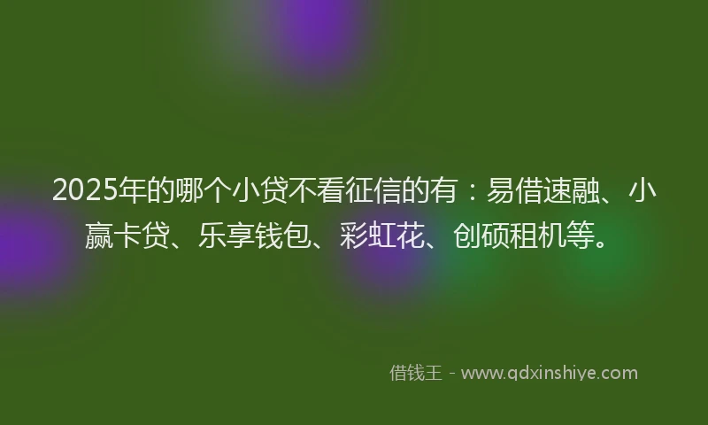 2025年的哪个小贷不看征信的有：易借速融、小赢卡贷、乐享钱包、彩虹花、创硕租机等。