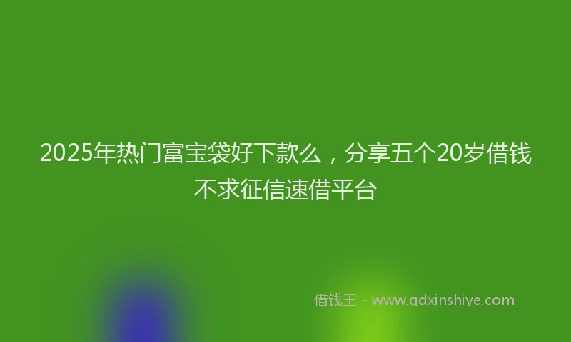 2025年热门富宝袋好下款么,分享五个20岁借钱不求征信速借平台