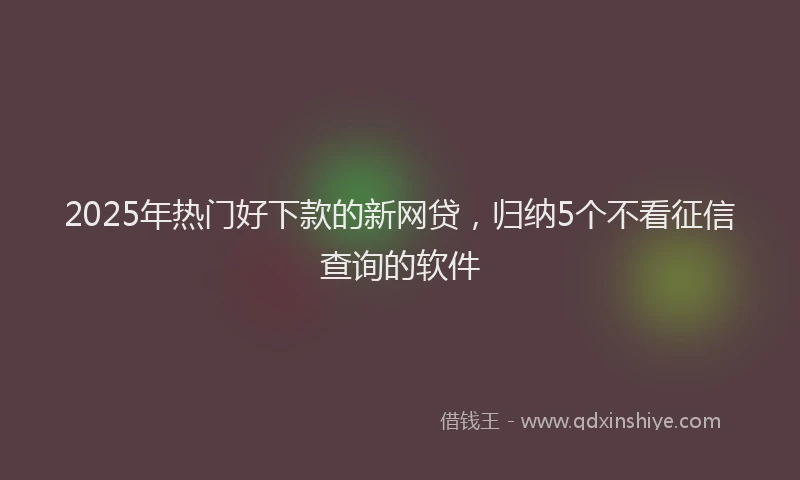 2025年热门好下款的新网贷，归纳5个不看征信查询的软件