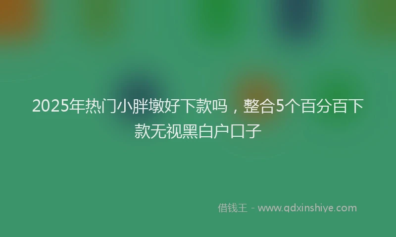 2025年热门小胖墩好下款吗,整合5个百分百下款无视黑白户口子