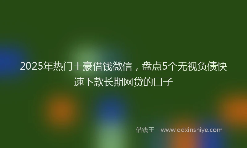2025年热门土豪借钱微信，盘点5个无视负债快速下款长期网贷的口子
