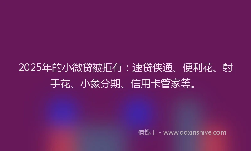 2025年的小微贷被拒有：速贷侠通、便利花、射手花、小象分期、信用卡管家等。