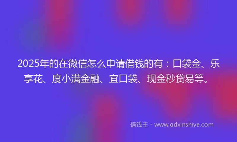 2025年的在微信怎么申请借钱的有：口袋金、乐享花、度小满金融、宜口袋、现金秒贷易等。