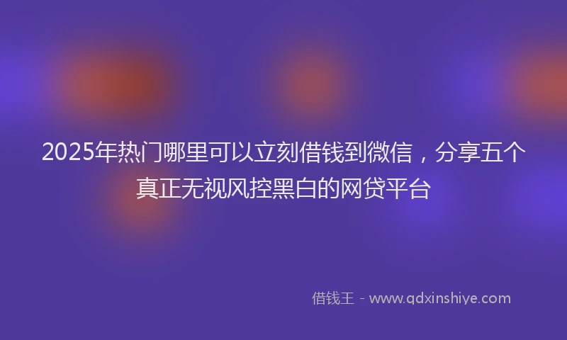 2025年热门哪里可以立刻借钱到微信，分享五个真正无视风控黑白的网贷平台