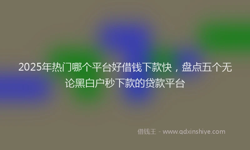 2025年热门哪个平台好借钱下款快，盘点五个无论黑白户秒下款的贷款平台