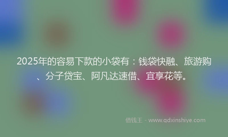 2025年的容易下款的小袋有：钱袋快融、旅游购、分子贷宝、阿凡达速借、宜享花等。