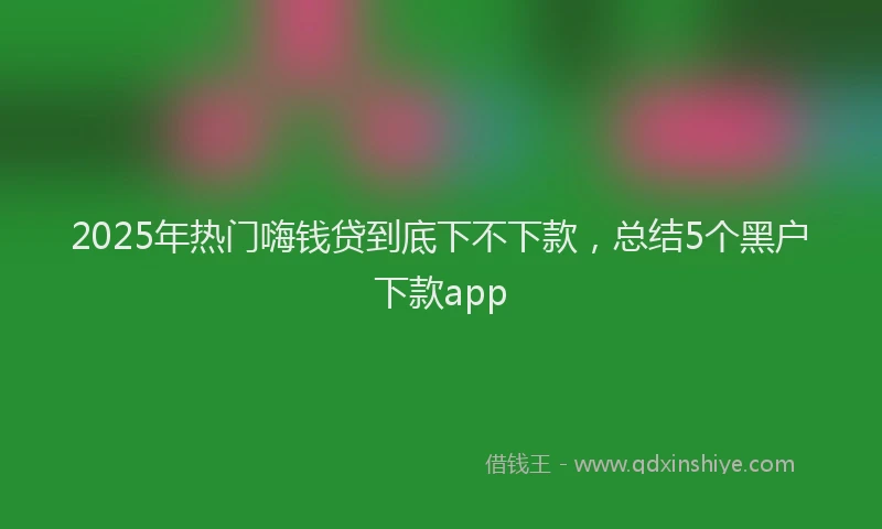 2025年热门嗨钱贷到底下不下款，总结5个黑户下款app