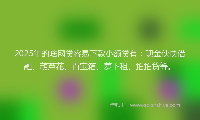 2025年的啥网贷容易下款小额贷有：现金侠快借融、葫芦花、百宝箱、萝卜租、拍拍贷等。