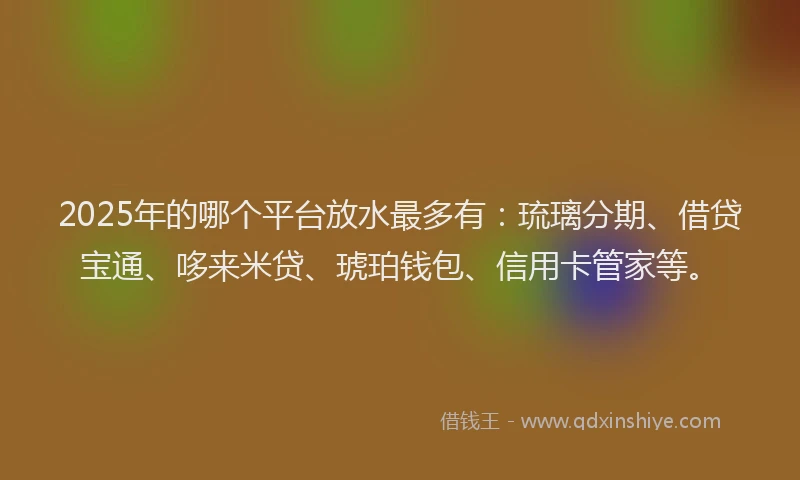 2025年的哪个平台放水最多有：琉璃分期、借贷宝通、哆来米贷、琥珀钱包、信用卡管家等。