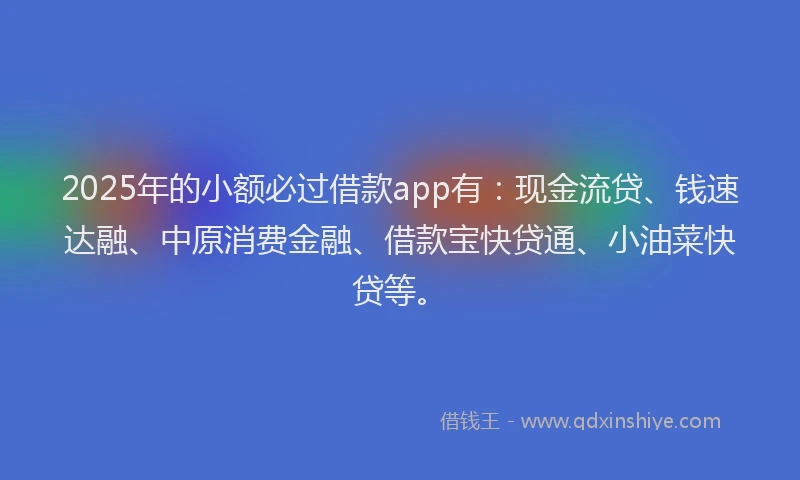 2025年的小额必过借款app有：现金流贷、钱速达融、中原消费金融、借款宝快贷通、小油菜快贷等。