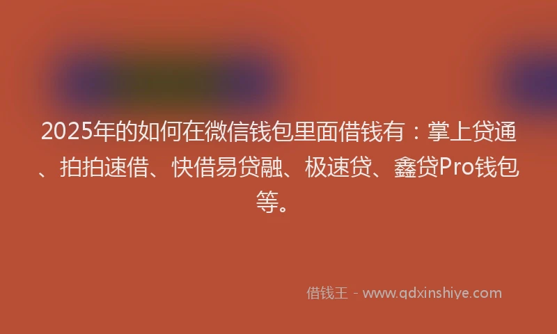 2025年的如何在微信钱包里面借钱有：掌上贷通、拍拍速借、快借易贷融、极速贷、鑫贷Pro钱包等。