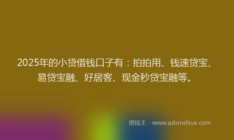 2025年的小贷借钱口子有：拍拍用、钱速贷宝、易贷宝融、好居客、现金秒贷宝融等。