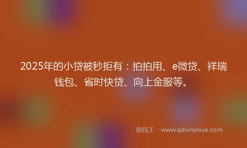 2025年的小贷被秒拒有：拍拍用、e微贷、祥瑞钱包、省时快贷、向上金服等。