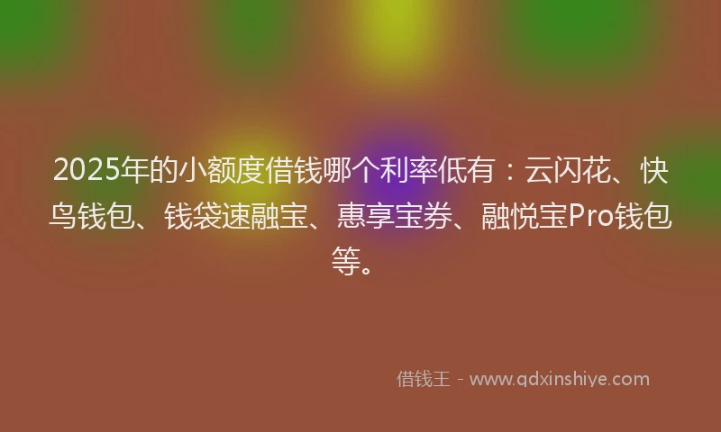 2025年的小额度借钱哪个利率低有：云闪花、快鸟钱包、钱袋速融宝、惠享宝券、融悦宝Pro钱包等。