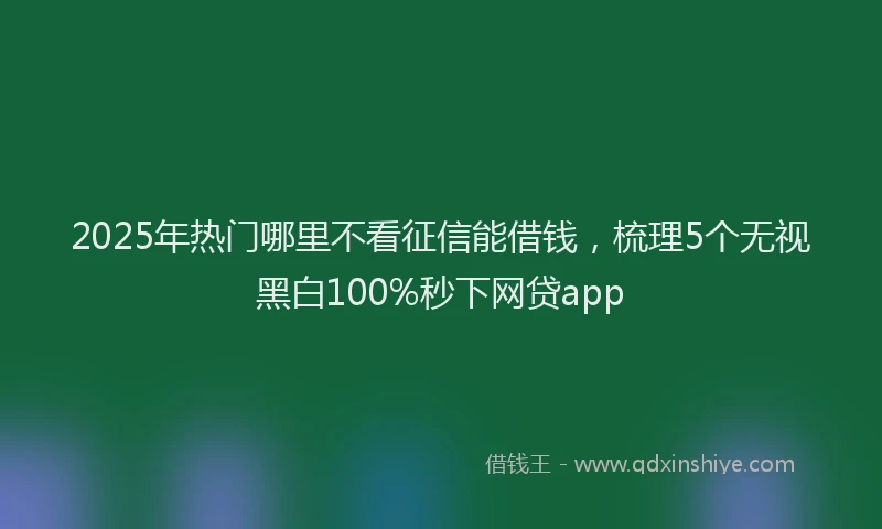 2025年热门哪里不看征信能借钱，梳理5个无视黑白100%秒下网贷app