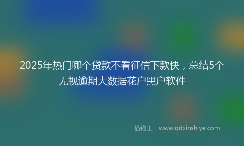 2025年热门哪个贷款不看征信下款快，总结5个无视逾期大数据花户黑户软件