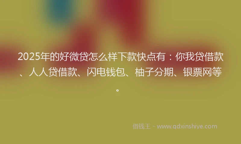 2025年的好微贷怎么样下款快点有：你我贷借款、人人贷借款、闪电钱包、柚子分期、银票网等。