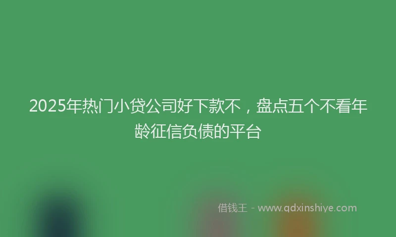 2025年热门小贷公司好下款不，盘点五个不看年龄征信负债的平台