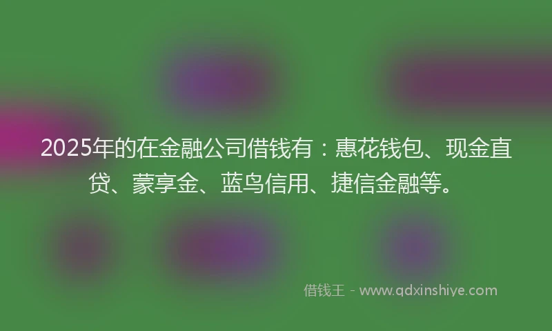 2025年的在金融公司借钱有：惠花钱包、现金直贷、蒙享金、蓝鸟信用、捷信金融等。