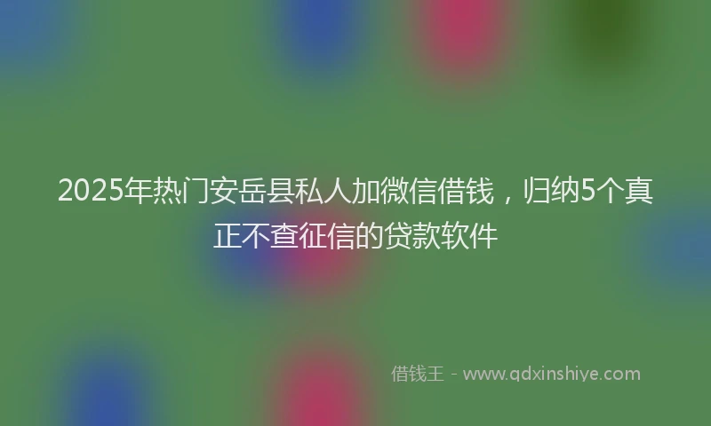 2025年热门安岳县私人加微信借钱，归纳5个真正不查征信的贷款软件