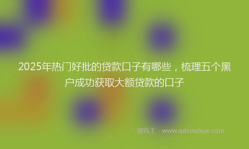 2025年热门好批的贷款口子有哪些，梳理五个黑户成功获取大额贷款的口子