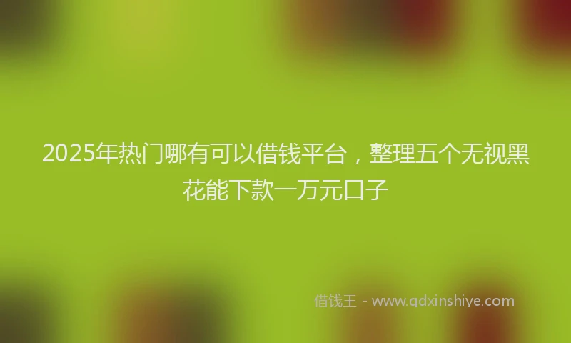 2025年热门哪有可以借钱平台，整理五个无视黑花能下款一万元口子