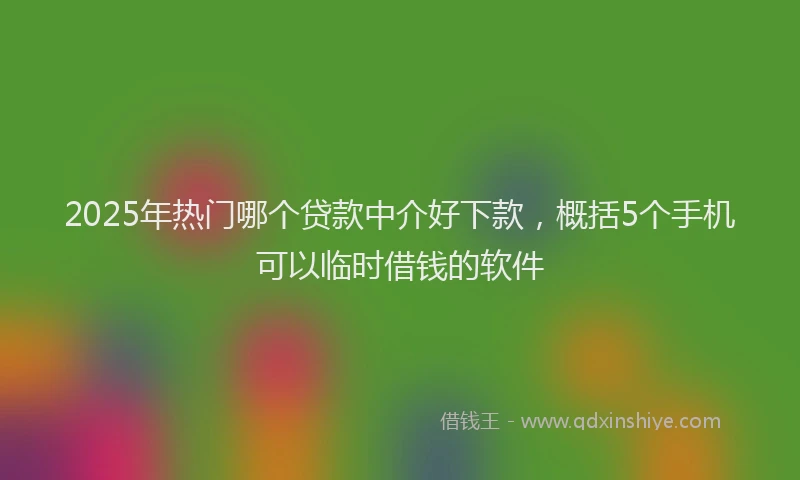 2025年热门哪个贷款中介好下款，概括5个手机可以临时借钱的软件