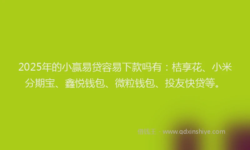 2025年的小赢易贷容易下款吗有：桔享花、小米分期宝、鑫悦钱包、微粒钱包、投友快贷等。