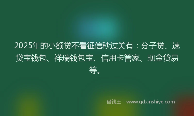2025年的小额贷不看征信秒过关有：分子贷、速贷宝钱包、祥瑞钱包宝、信用卡管家、现金贷易等。