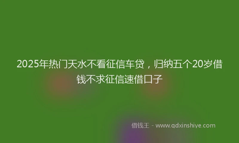 2025年热门天水不看征信车贷，归纳五个20岁借钱不求征信速借口子